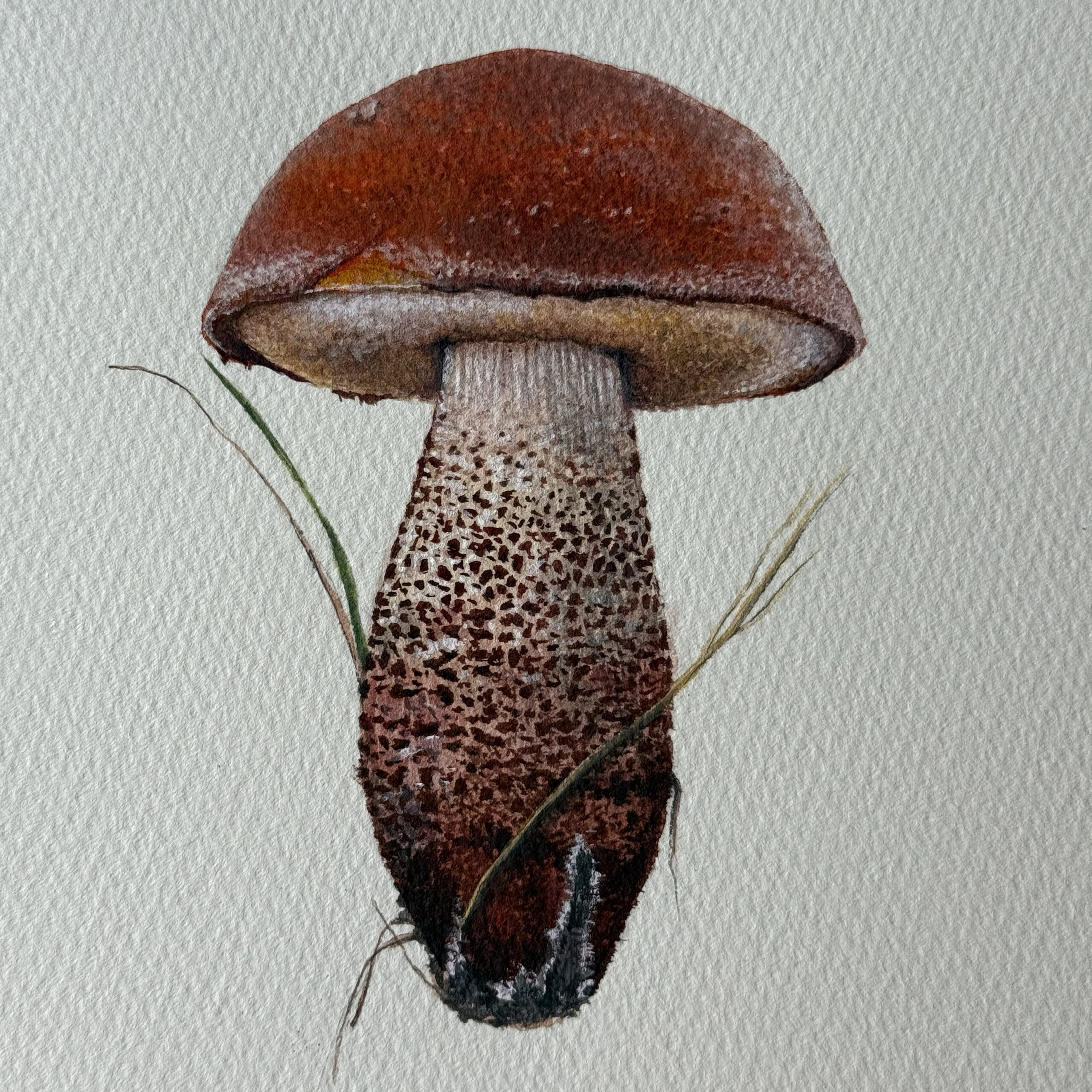 "First one" – Obrázok 4