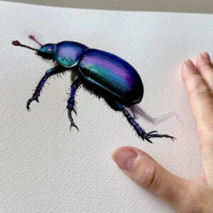 "Scarab"