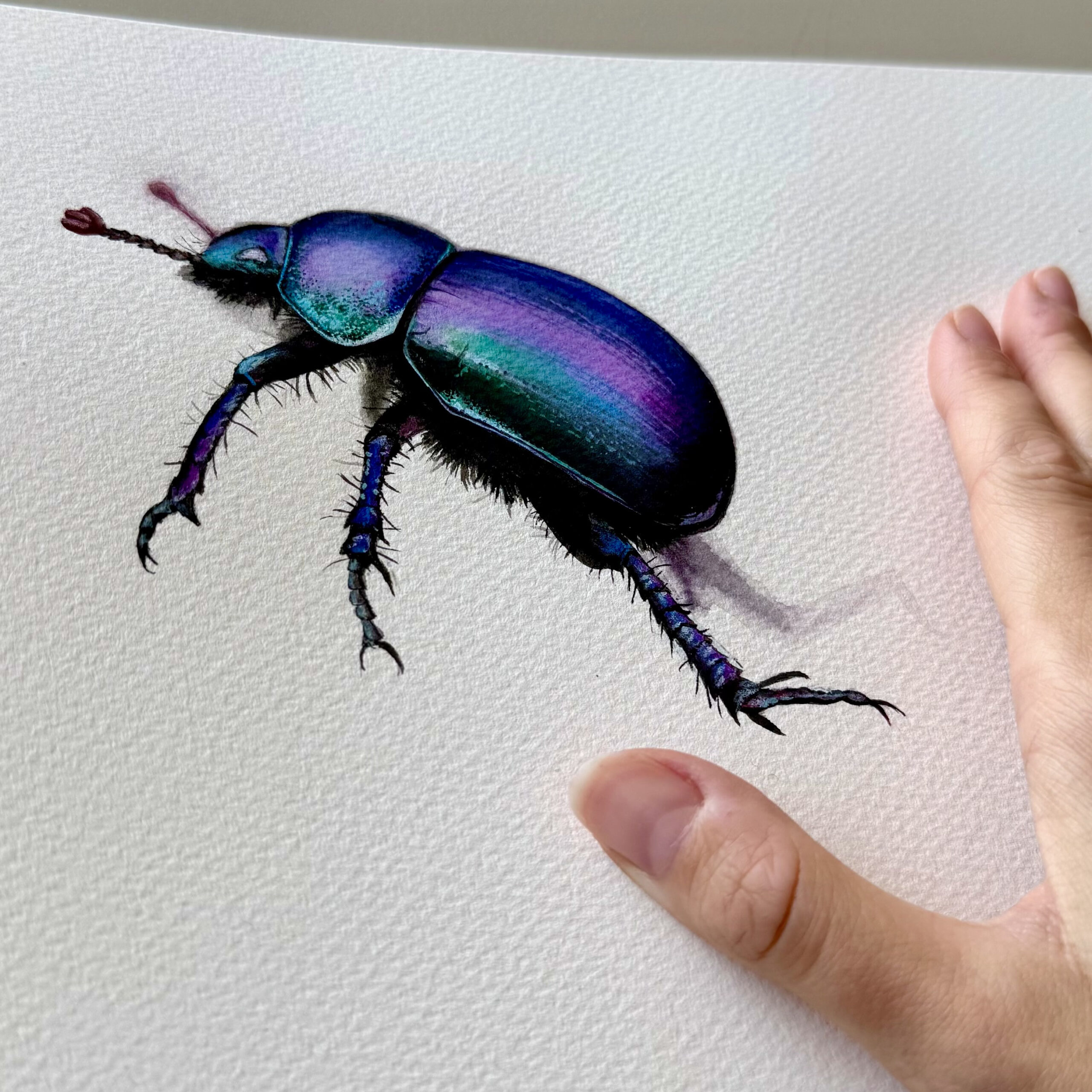 "Scarab"